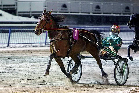 Delightful Moment paiskaa keulaan ja vie päätöskohdetta maaliin saakka.