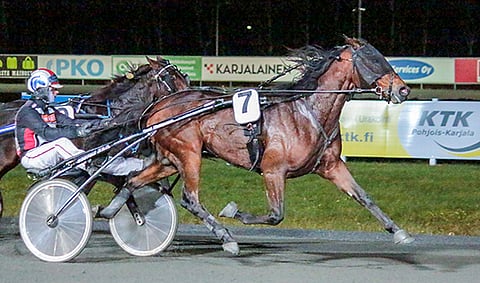 Suuri suosikki Pam Hallover sai takarivistä huolimatta onnistuneen juoksun ja ratkaisi maalisuoralla vaivatta.