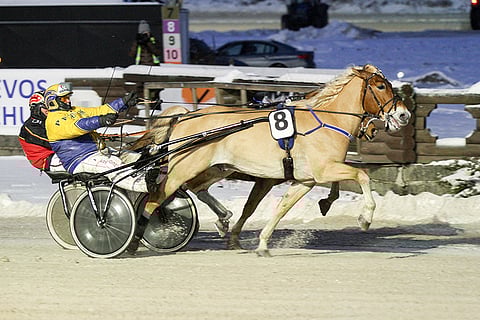 Pertti Puikkonen kannusti Rokin Maxin ohi Tee Wee Paronista.