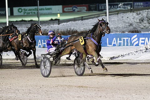 Shadow Of Brisbane käänsi kentän ja nousi loppuvedollaan viimeiseksi Toto76-voittajaksi Lahdessa. Kuva: Roosa Lindholm.