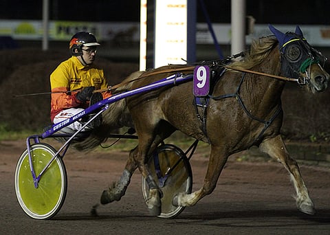 Tapio Kukkosen valmentama Vennelmon Varma on tammavoltin yksi suosikeista.
