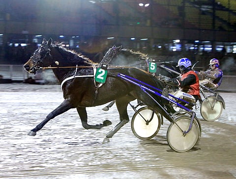 Sultan Journey hallitsi mailin kisaa alusta alkaen.