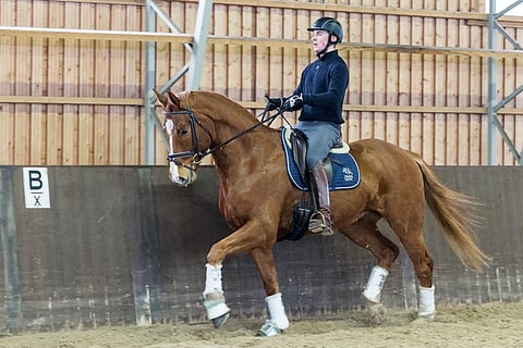 Ville Vaurio, nykyään Suomesta käsin.