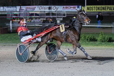 Don Corleone Trot on maagisena maanantaina alusvasti alipelattu ideahevonen.