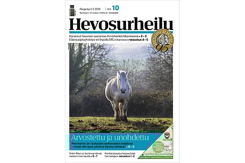 Percheron. Kuva: Leena Alerini.