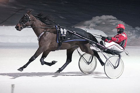 Janne Sorosen ajama Smooth Criminal piti sunnuntain avauskohteen suosikkina.