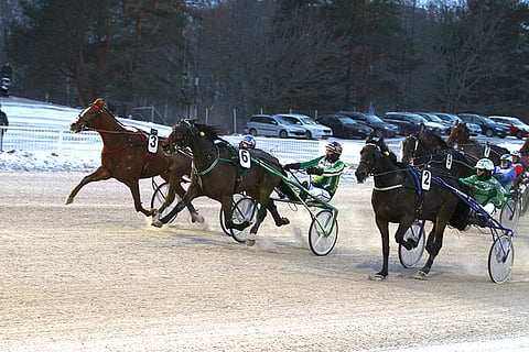Olli Koivusen kannustama Celebration Song ehti uloimpana juuri ajoissa ohi kärkiparina taivaltaneista Popesta ja Reverend Dredistä, joka puristi toiseksi.