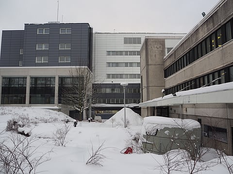 Hippoksen ja hevoskasvattajien erimielisyyksiä kartoitettiin torstaina Espoon käräjäoikeudessa. Käräjäoikeuden pihalla oli sattumalta symboliikkaa: lumeen hautautunut hevoskoppi. Kuva: Stiina Ikonen