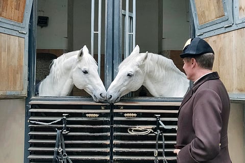 Pluto Sabata ja Conversano Bonavoja ovat Herwig Radnetterin kouluttamia lipizzanoriita. Tämä juttu ja monta muuta 11.1. perjantaina.