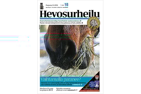 Hevonen pitää syömisestä. Kuva: Annika Nisonen.