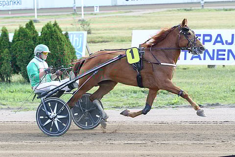 Täysosuma oli Arto Hammarin valmentamalle 8-vuotiaalle tammalle kauden toinen.