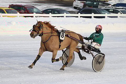Villiäijä palaa Porissa voittokantaan.