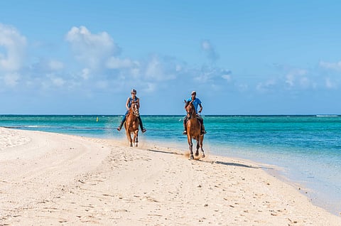 Ratsastus. Mitä se on? Mitä sen pitäisi olla?