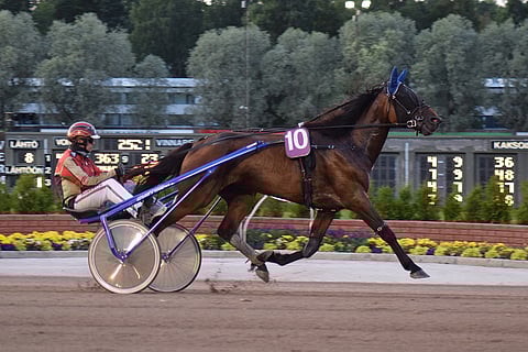 Kolmevuotiaana ikäluokkakilpailuissa menestynyt Little Easy on nyt kuusivuotias.