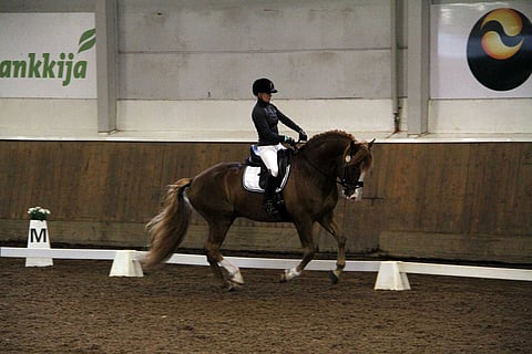 Vapun Aihe näyttää parastaan testiratsastaja Siiri Kyrön kanssa.