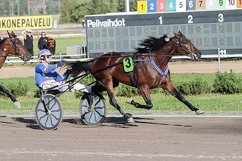 Staro Moschino ravasi Harri Koivusen tallista hienon 4-vuotiskauden ja on menestynyt tänä vuonna mukavasti Kimmo Aholalta.