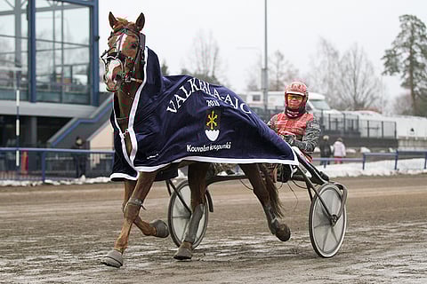 Santtu Raitala ajoi Valkeala-ajon yllättäjänä voittanutta Josveisia.