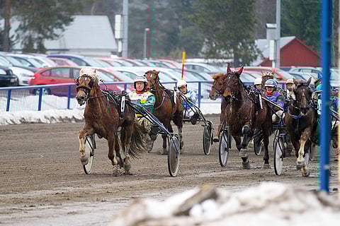 Timo Tuomisen ajama Piirron Tuisku kiri voittoon ennätyksellään 29,0.
