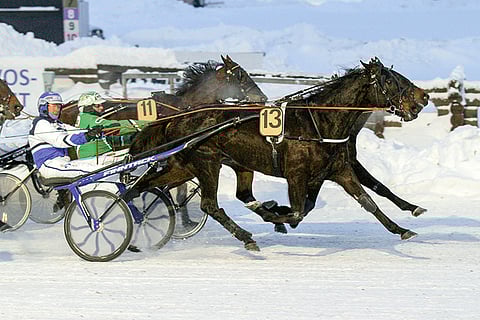 M.T.Lara Croft ja Pekka Korpi lähtevät Toto64 seitsemänteen kohteeseen radalta 7.