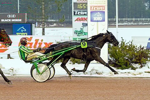 Chief Orlando voitti viime vuonna kuusi starttia kolmestatoista.