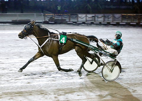 Exuberance oli keulasta pitelemätön.