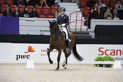 Henri Ruoste ja Rossetti.