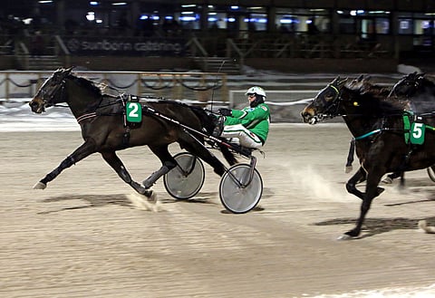 Ari Moilasen kuskaama India Web kiri helpoon ykköstilaan.