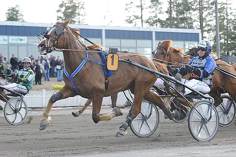 Josveis kilpailee Elitloppet-sunnuntaina Solvallassa.