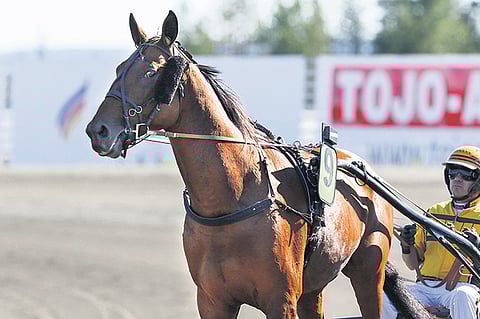 Marko Hakkaraisen valmentama Victory Bonsai voitti viime vuonna neljästi, mutta juhannuksen jälkeen täysosumia ei ollut tullut.