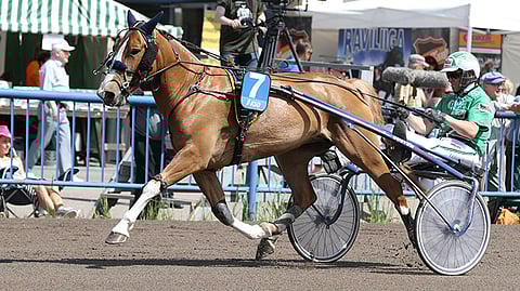 Lahjakas ja pääsevä Vuvuzela on lähes 50 peliprosenteillakin maistuva varma.