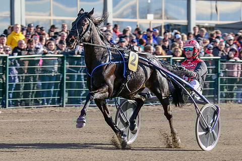 Viime vuonna Seinäjoki Race oli suomalaisjuhlaa, kun Atupem ja Santtu Raitala syöksyivät voittoon ajalla 11,8.