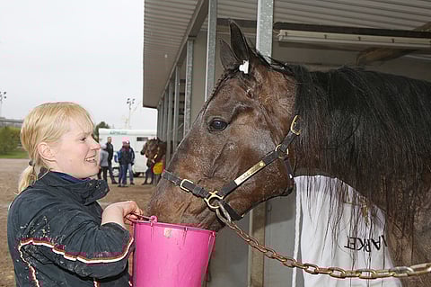 Niemisen talli ja Tiiti (Johanna Kyläkoski) tekivät Lissun kanssa hienoa työtä”, Jukka Niskanen kiittää.