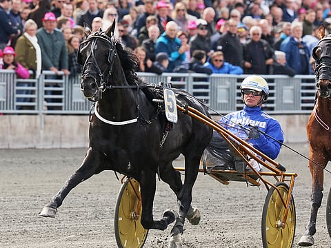 Chief Orlando. Kuva: Jarno Unkuri