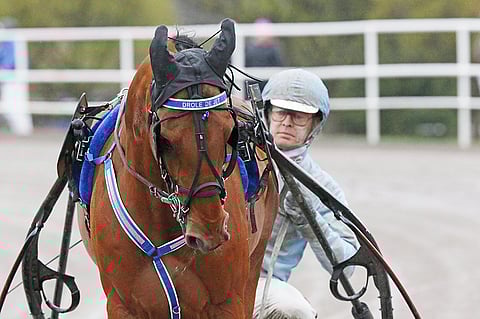 Drole de Jet saatetaan nähdä Vermossa uudelleen. Kuva: Jarno Unkuri