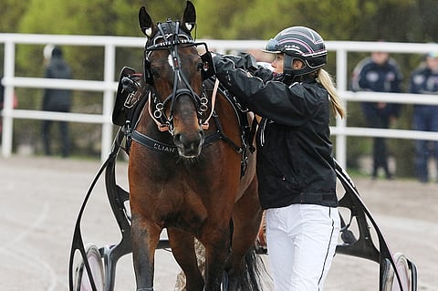 Lauantaina Paralympiatravetissa starttaavan Elian Webin valmentajalla Katja Melkolla riittää organisoitavaa ison tallin toiminnan pyörittämisessä kahdessa maassa. "Mutta porukalla on hyvä yhteishenki ja on mukava touhuta. Kuva: Jarno Unkuri.