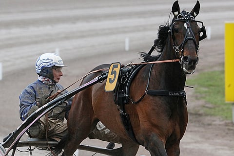 Elian Web. Kuva: Jarno Unkuri