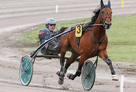 Readly Express on Sagari AB:n ostaman Escadan isä. Kuva: Jarno Unkuri