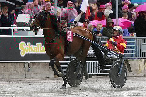 Readly Express tapaili rytmiään Elitloppet-finaalin alla ja jäi pois. Kuva: Jarno Unkuri.