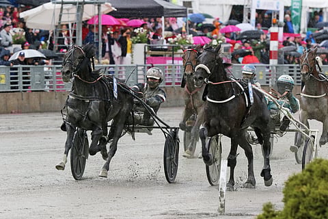Sashay My Way paineli muista ohi niin, että kura roiskui. (Kuva: Jarno Unkuri)