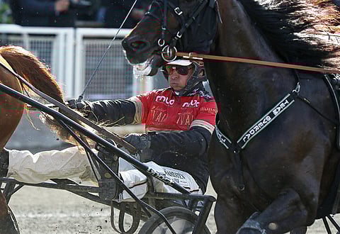 Tapio Perttusen toisen kerran ohjastamaan Confidence Maniin on jälleen vahva luotto.
