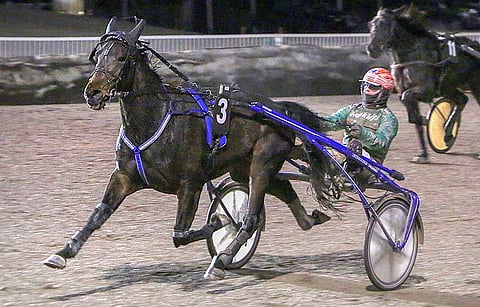 Whogonow on loistovarma illan Toto65-kierrokselle.