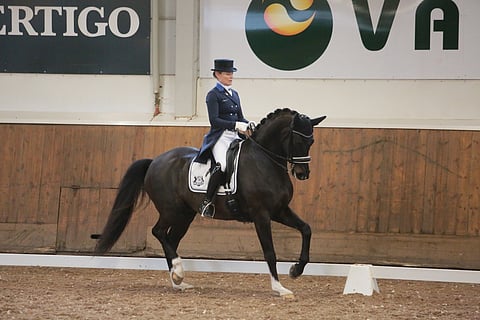 Skovlunds Gamin G Ypäjällä kevättalvella 2016.