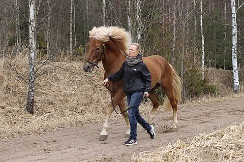 Costello ja Tia Malinen. Arkistokuva: Hanna Laakso.