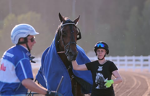 Ikäluokkalähdöistä yli 100 000 euroa tienannut Gloria Web voitti Jokimaalla Suur-Hollolan ensimmäisen alkuerän.