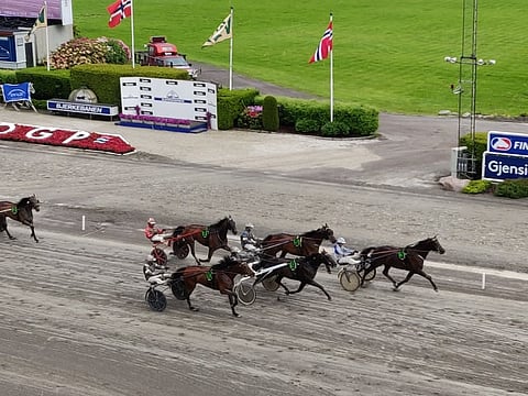 Hickothepooh voitti hallitusti kärkipaikalta lauantaina Oslossa ajalla 12,4a/2100m ja 1,30-voittajakertoimella. Kuva Totofoto
