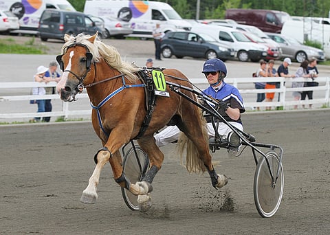 Kujanpään Jyräys toimii Toto75-vihjeen suosikkivarmana.