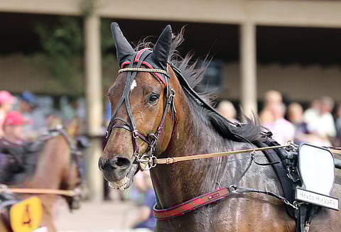 Marcos Gallon kokeilee siipiään Ruotsin T75-tasolla vakuuttava voitto helpommasta lähdöstä Örebrosta alla.