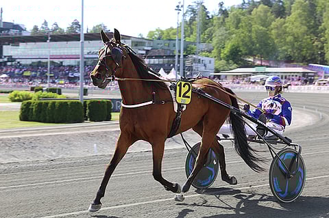 Voitto oli Aripekka Pakkasen valmentamalle 6-vuotiaalle Bombardille kaikkiaan yhdeksäs, mutta tälle kaudelle ensimmäinen.