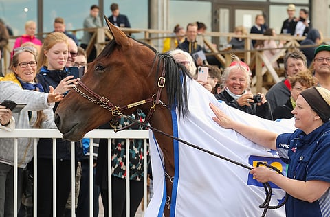 Hanna Rakkolaisen hoitama supertamma Mascate Match saatetaan nähdä pian kotiradallaan tositoimissa.