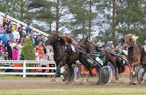 Vanha kunnon työmies Metkutus piti vastustajat takanaan Halsuan Miljoonamaratonilla.
